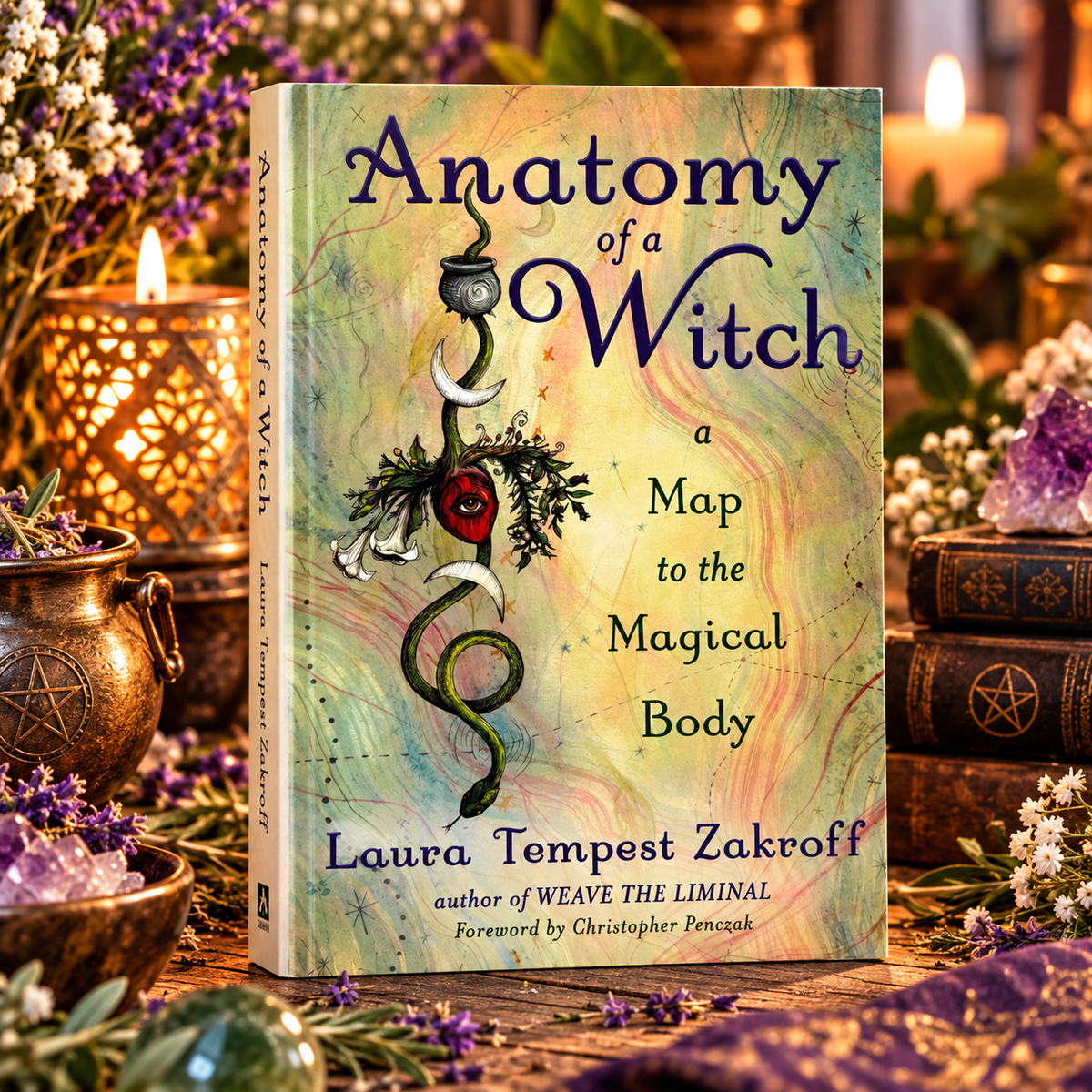 Anatomy of a Witch